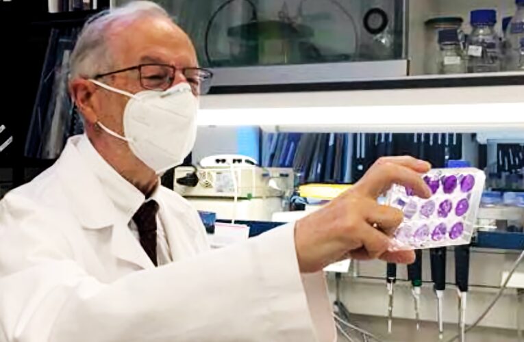 Se dijo del Covid esta semana