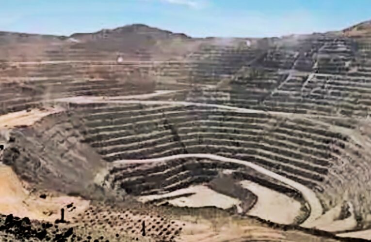 Se dijo sobre la industria