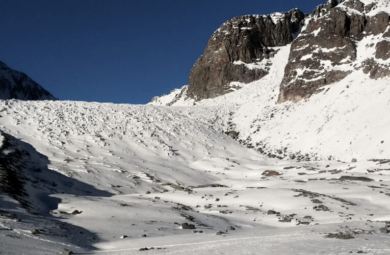 Se dijo del medioambiente
