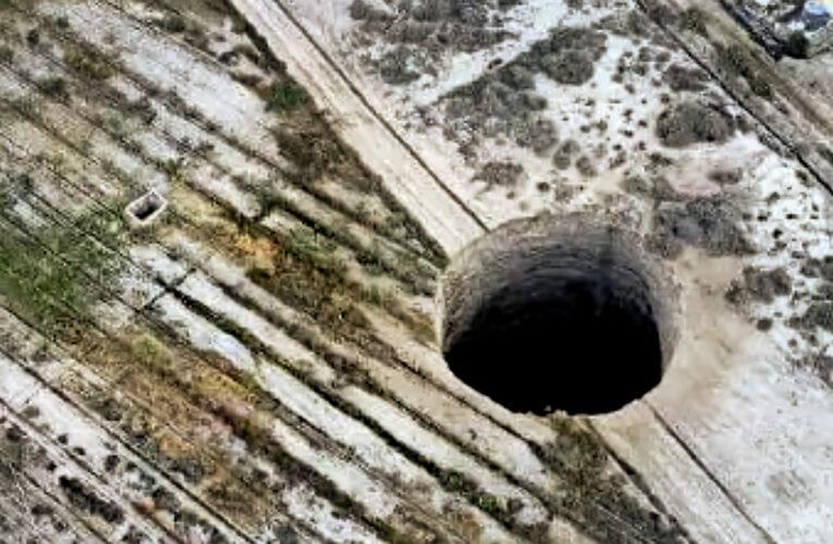 Se dijo sobre medio ambiente y sostenibilidad esta semana