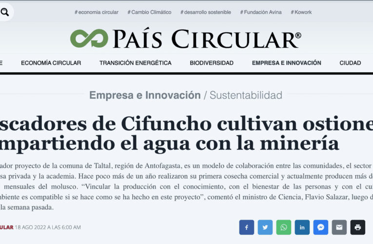 Cenizas en la Prensa especializada