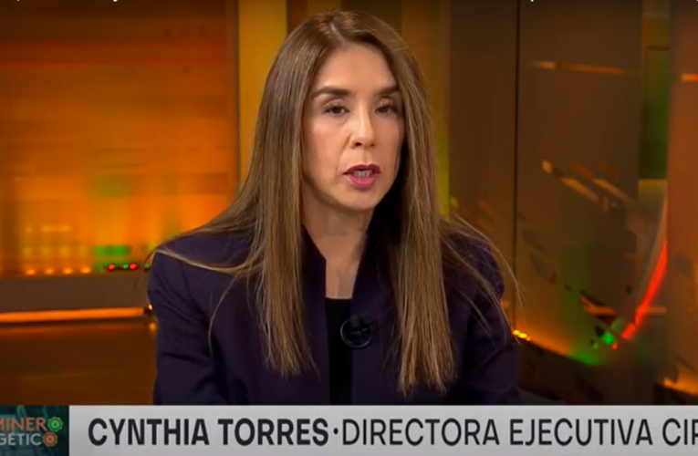 Innovación Tecnológica: 18 pruebas de pilotaje se ejecutan principalmente en faenas de la mediana minería