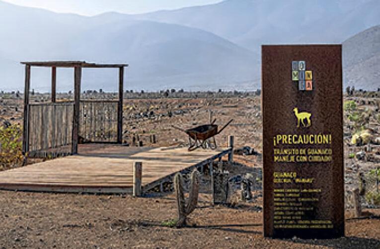 Se dijo del medioambiente esta semana