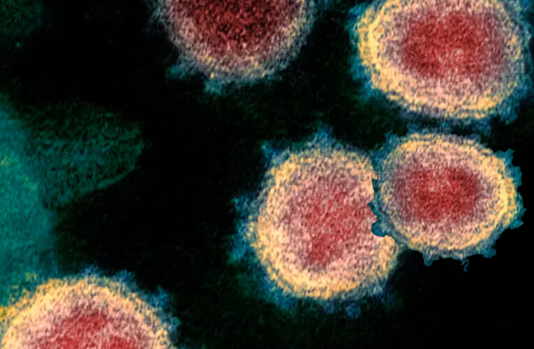 Se dijo del Coronavirus esta semana