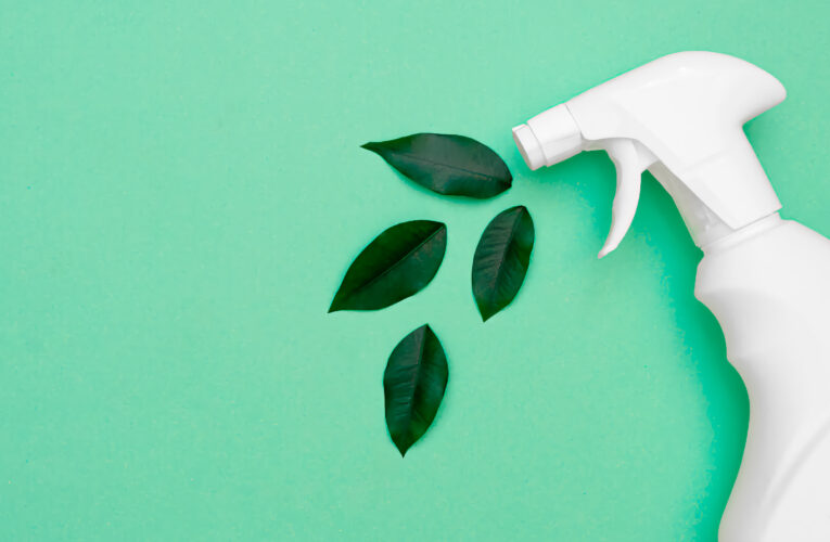 Se dijo de sustentabilidad y medioambiente