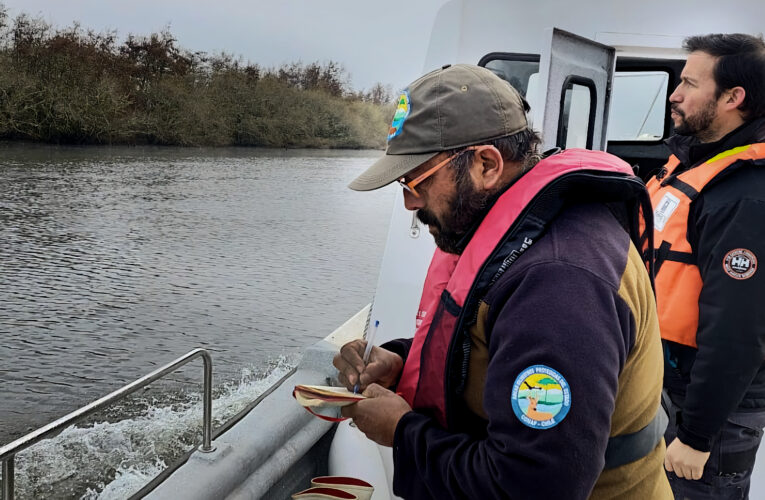 SMA informa sobre programas y subprogramas de fiscalización para 2023