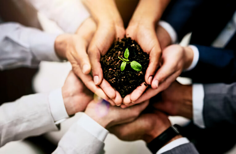 Avanzando hacia la Sostenibilidad