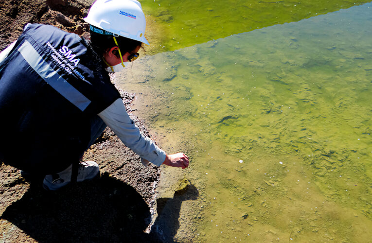 Se dijo de medioambiente