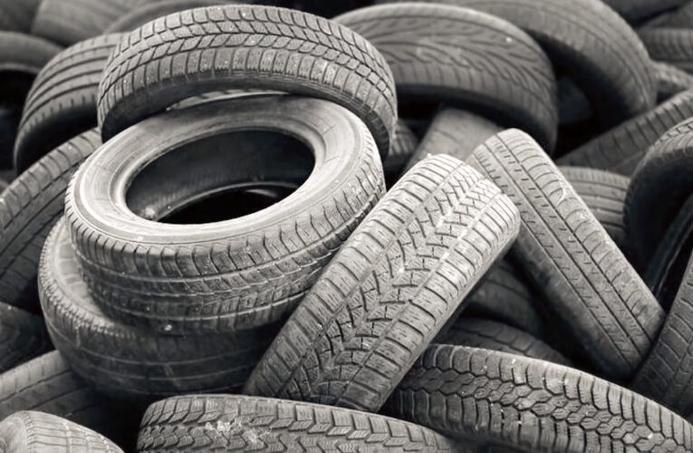 Se dijo de sutentabilidad y medioambiente