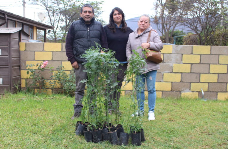 Club Deportivo Montegrande recibió pimientos para reforestar campo de juego