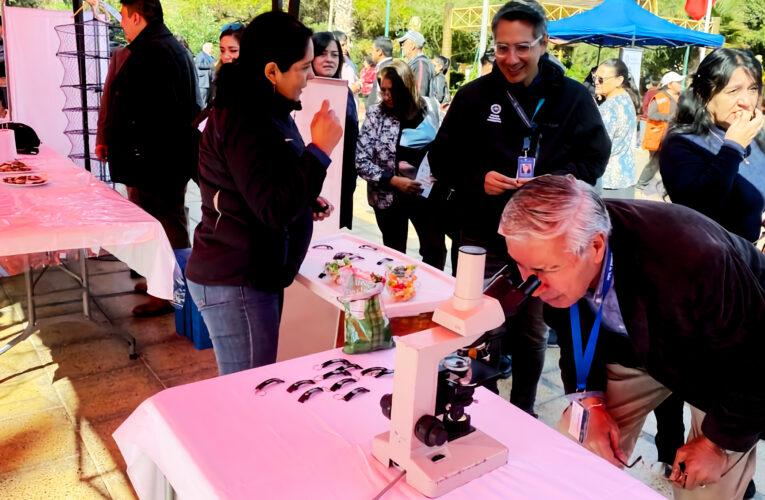 Faena Taltal Presente en la IX Versión de la Feria Comunal del Medio Ambiente