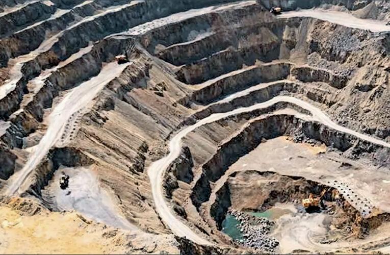 Se dijo desde la SONAMI esta semana