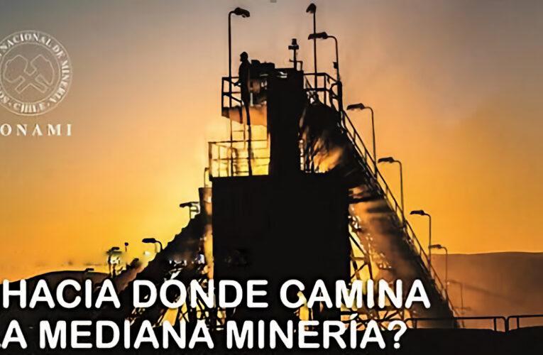 Se dijo desde la SONAMI esta semana