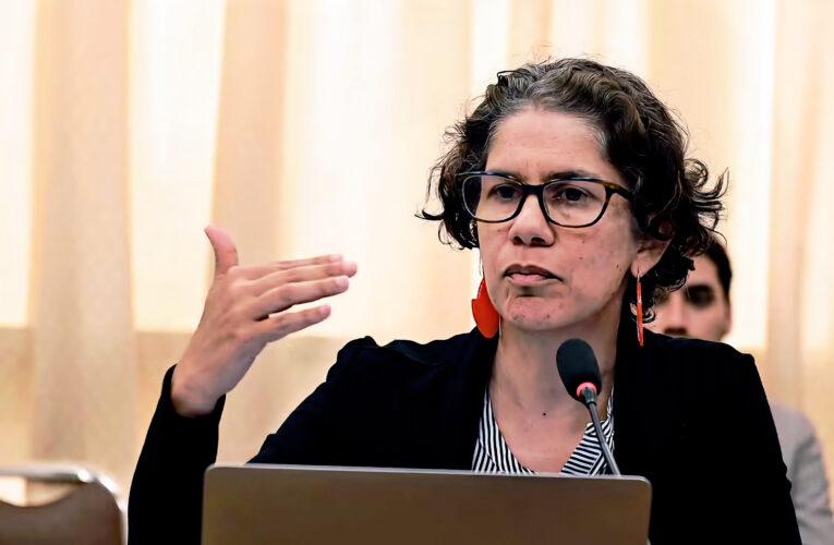 SONAMI cuestiona declaraciones de ministra de medio ambiente