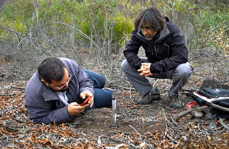 Profesor de la U. de Chile desarrolla investigación sobre tranque forestado en Cabildo