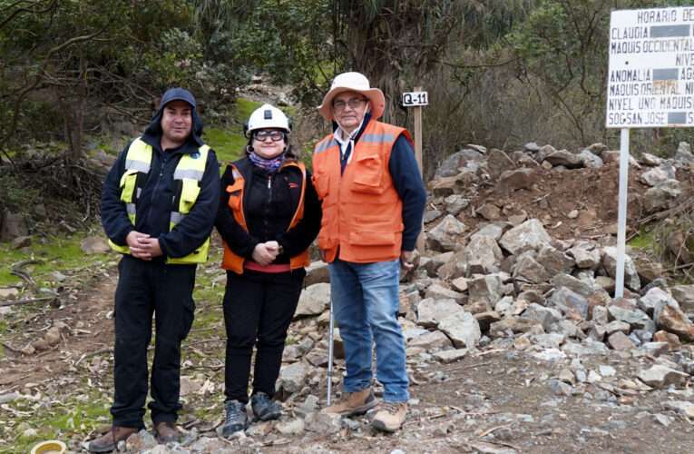 Medioambiente Cabildo