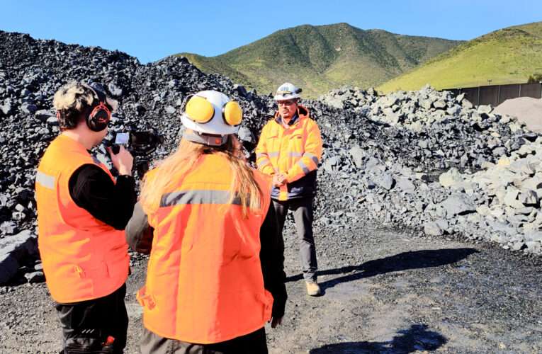 Empresa WEG destaca alianza tecnológica con Minera Las Cenizas en video testimonial
