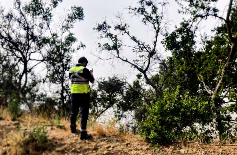 Cabildo Medioambiente