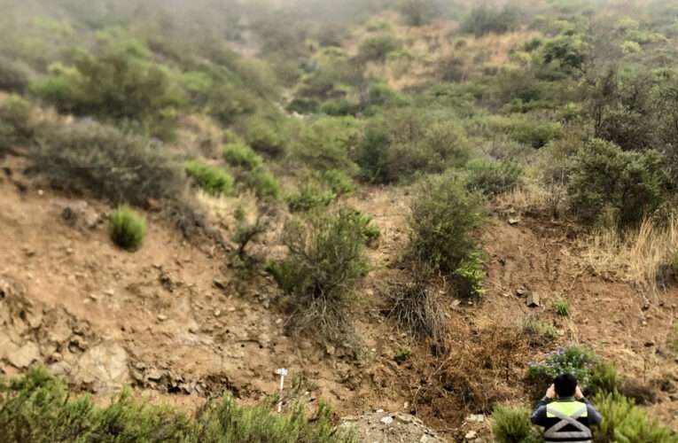 Cabildo Medioambiente