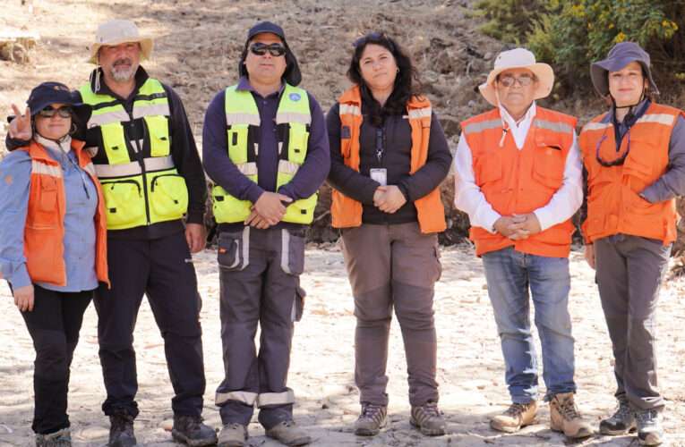 Medioambiente Cabildo