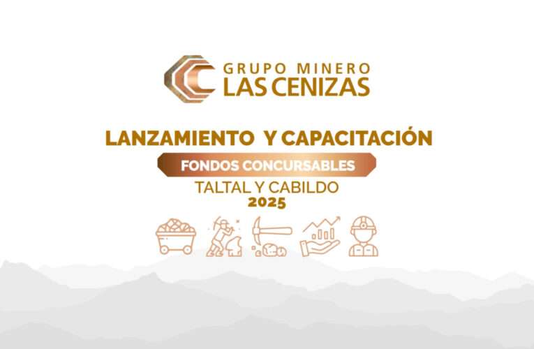 Capacitación Fondos Concursables 2025 congrega a numerosas organizaciones sociales en Cabildo y Taltal