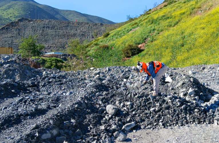 Cabildo Medioambiente