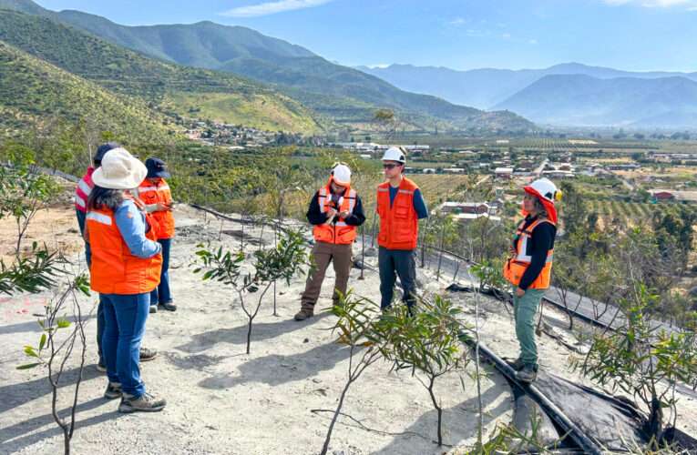 Minera Cerro Negro visita Minera Las Cenizas Cabildo para conocer trabajos de forestación en tranques de relaves