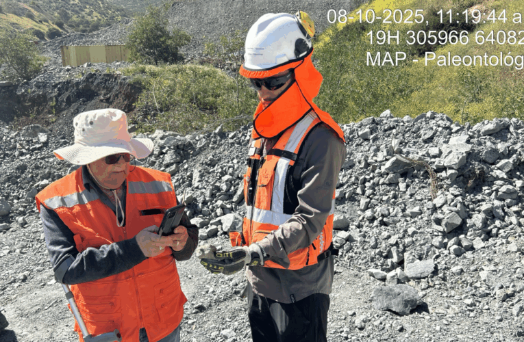 Cabildo Medioambiente