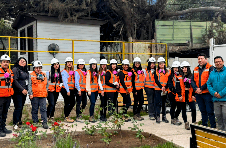 Estudiantes del CFT PUCV, sede Peñablanca, visitan Minera Las Cenizas Cabildo