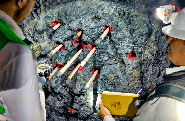 Se dijo de la Industria