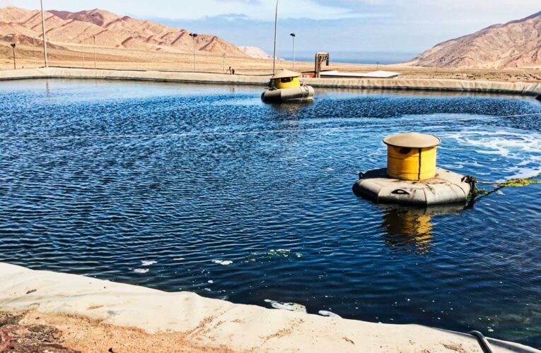 Responsabilidad ambiental: Utilización de Agua de Mar en Planta de Sulfuros de Taltal