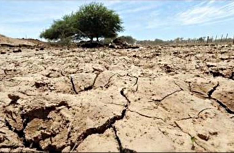 Las propuestas de la Mesa Nacional del Agua para enfrentar la sequía