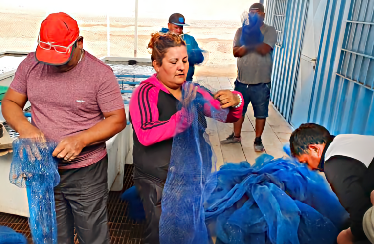 AcuyMin capacita pescadores artesanales de La Peña en el cultivo de Ostras y Ostiones.