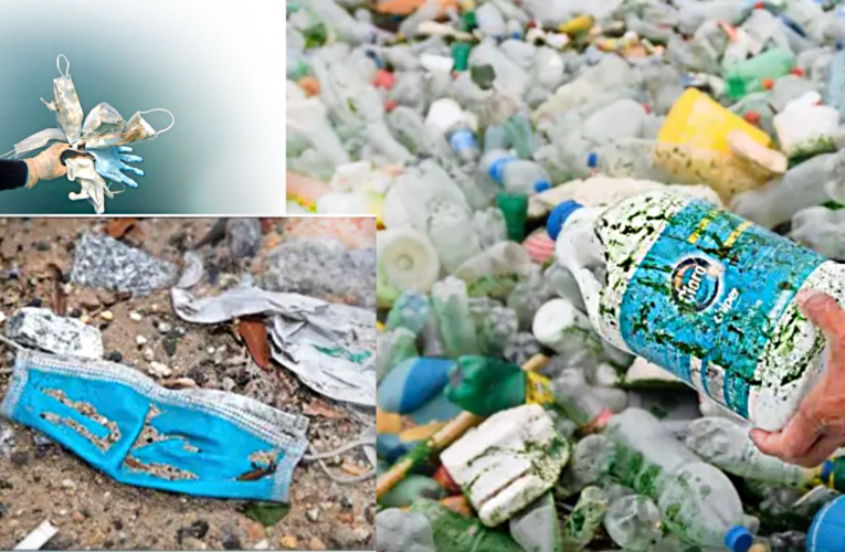 La mala gestión de las mascarillas y desechos plásticos amenaza la naturaleza