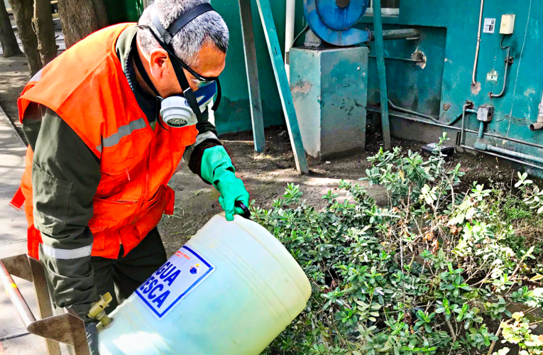 Laboratorio de faena Cabildo reutiliza agua de sus procesos para regar plantas y arbustos