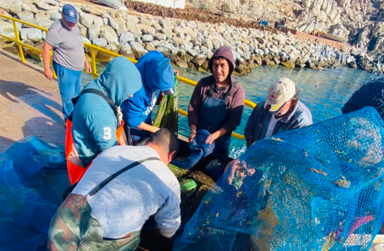 Acuymin: Pescadores y buzos de Caleta Cifuncho aprenden a fabricar Fondeos ecológicos submarinos