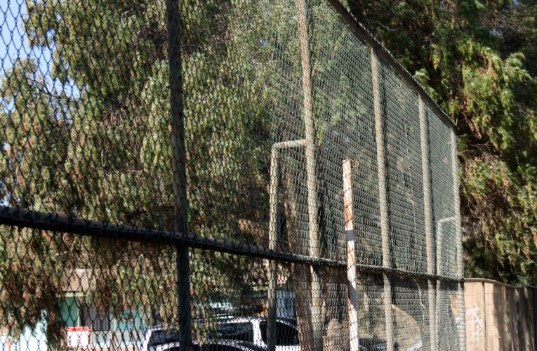 Minera Las Cenizas comprometida con el deporte: Estadio de Unión La Vega de Cabildo cuenta con mallas perimetrales para “atajar” el balón