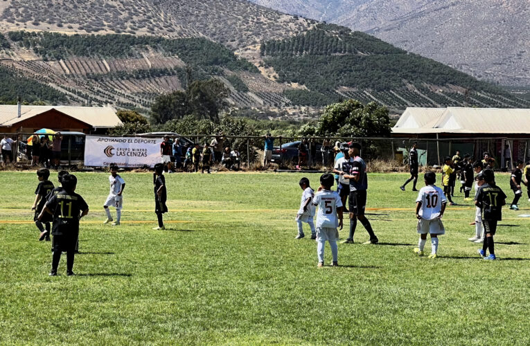 360 niños participaron en Copa de Escuelas de Fútbol en La Viña