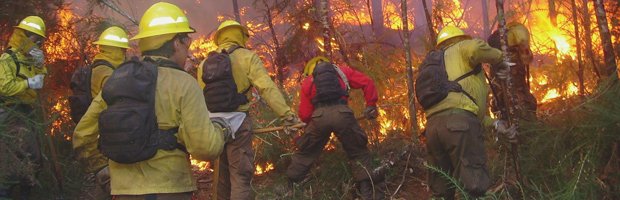 Cabildo es declarada en Alerta Temprana Preventiva por amenaza de incendios forestales