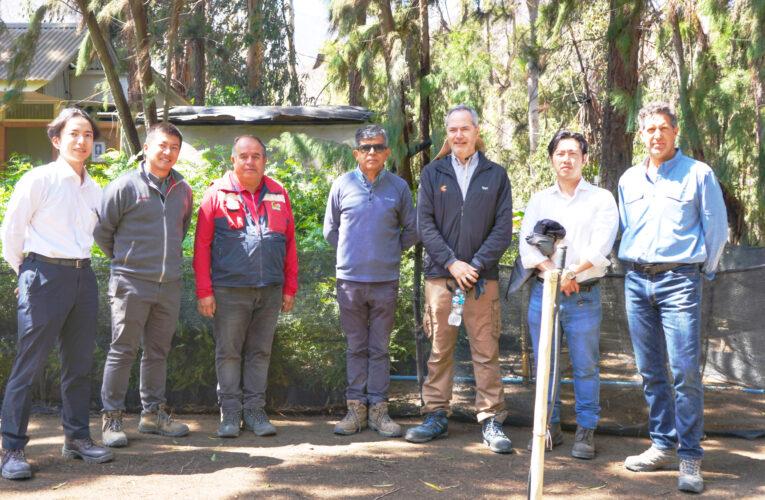 Minera Las Cenizas Cabildo recibe visita de representantes de Mitsubishi Corporation